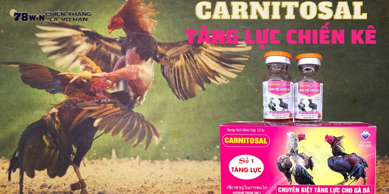Thuốc tăng lực Carnitosal - “Doping” trong thế giới gà chọi.